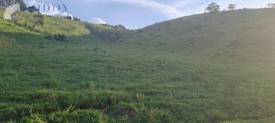 Terreno, 6 hectares - Foto 1