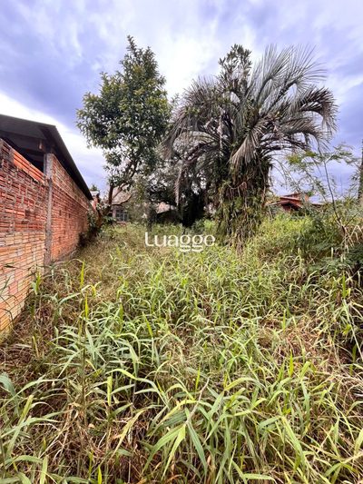 Terreno, 151 m² - Foto 5