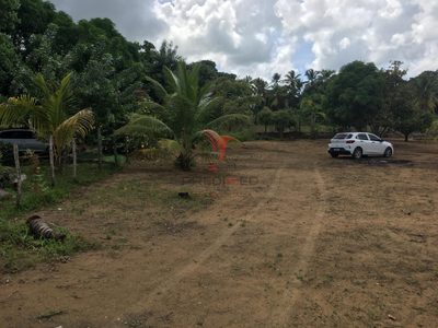 Chácara, 2 quartos, 1800 m² - Foto 3