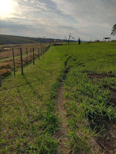 Terreno, 2 hectares - Foto 3