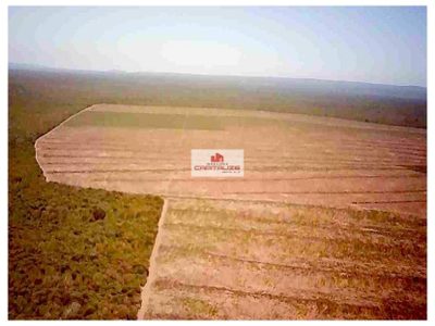 Fazenda, 2 hectares - Foto 2