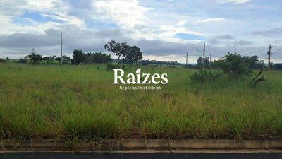 Terreno, 250 m² - Foto 3