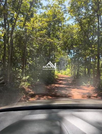 Chácara, 3 quartos, 22 hectares - Foto 4