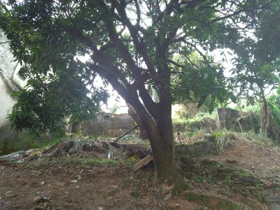 Terreno, 336 m² - Foto 5