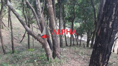 Terreno, 6750 m² - Foto 5