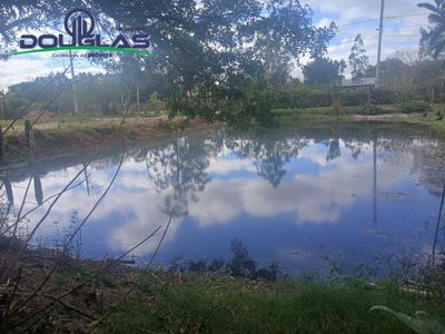 Terreno - Foto 4