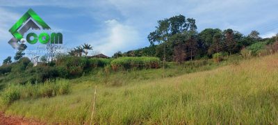 Terreno, 1240 m² - Foto 5