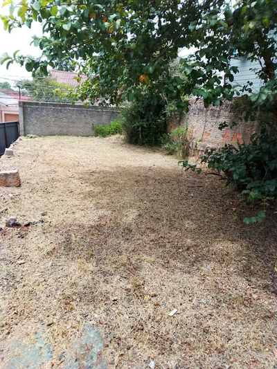 Terreno, 300 m² - Foto 4