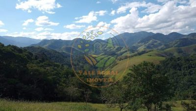 Sítio, 4 quartos, 9 hectares - Foto 3
