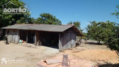 Casa, 3 quartos, 3750 m² - Foto 5