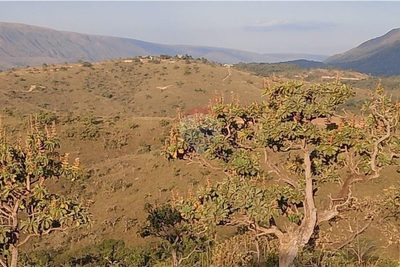 Sítio, 1 quarto, 54 hectares - Foto 4