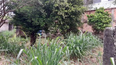 Terreno, 900 m² - Foto 3