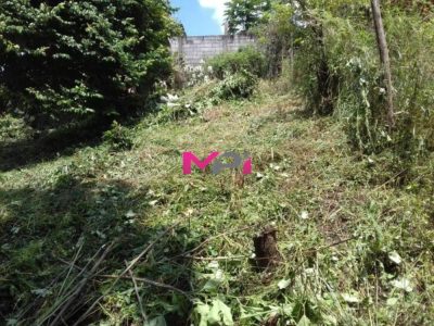 Terreno, 437 m² - Foto 2