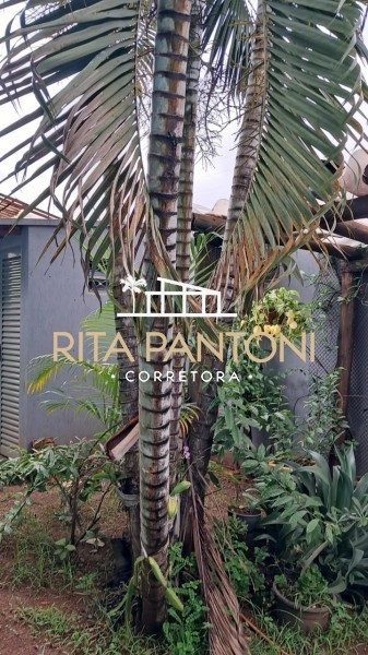 Sítio, 2 quartos, 215 m² - Foto 1