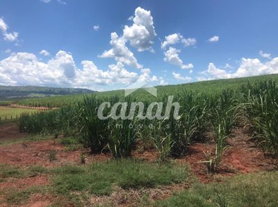 Fazenda, 175 m² - Foto 3