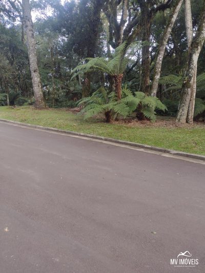 Terreno, 1284 m² - Foto 4