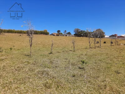 Terreno, 2 hectares - Foto 2