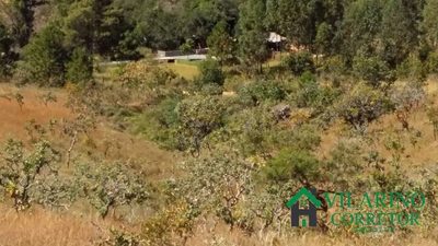 Terreno, 5000 m² - Foto 4