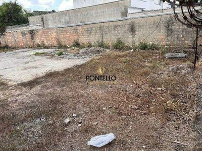 Terreno, 366 m² - Foto 4