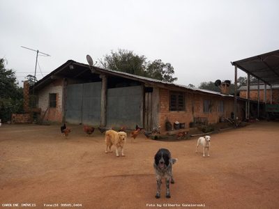 Fazenda, 59 hectares - Foto 5