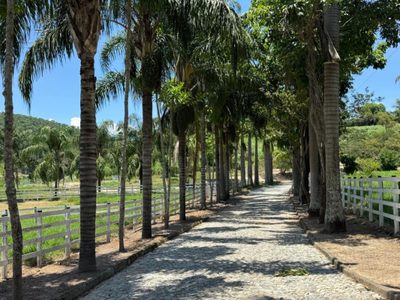 Chácara, 4 quartos - Foto 5