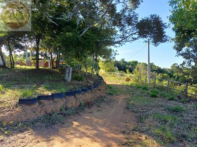 Terreno, 2090 m² - Foto 5