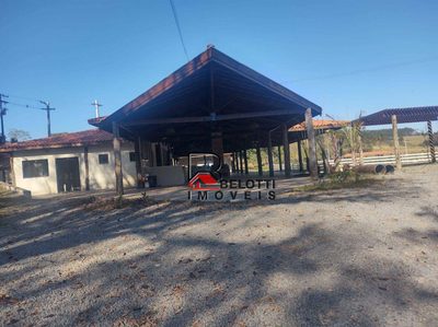 Fazenda, 185 hectares - Foto 2