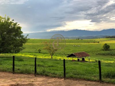 Fazenda, 6000 m² - Foto 4