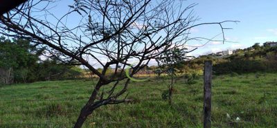 Terreno, 5 hectares - Foto 1