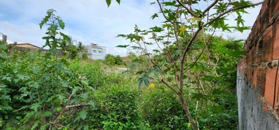 Terreno, 6000 m² - Foto 5
