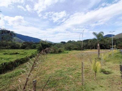 Terreno, 3 hectares - Foto 3