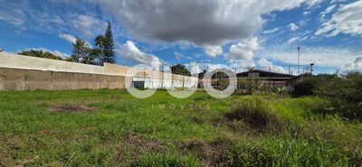 Sítio, 3106 m² - Foto 3