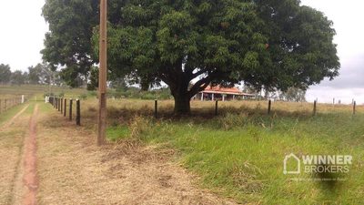 Chácara, 1 quarto, 3000 m² - Foto 1