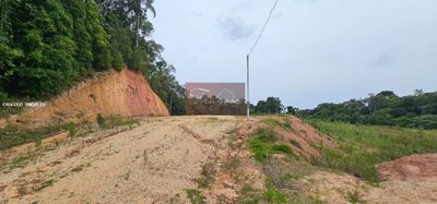 Chácara, 1 hectares - Foto 2