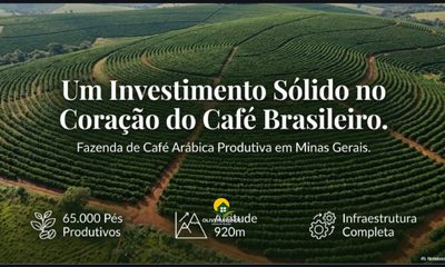 Fazenda, 29 hectares - Foto 1