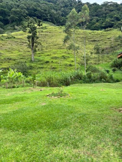 Terreno, 2 hectares - Foto 2
