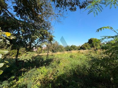 Terreno, 1457 m² - Foto 5