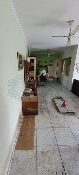 Apartamento - Foto 5