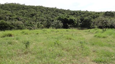Chácara, 3 quartos - Foto 4
