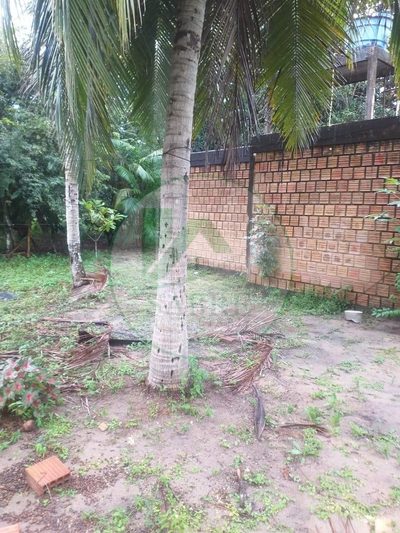 Terreno, 6200 m² - Foto 5