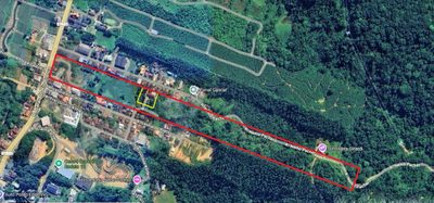 Terreno, 8 hectares - Foto 4