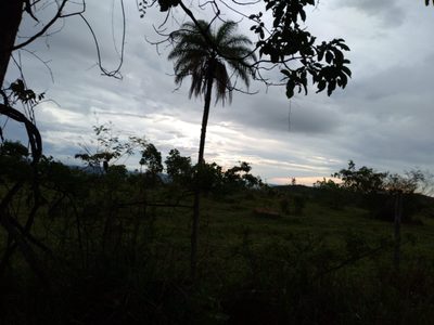 Terreno, 5000 m² - Foto 5