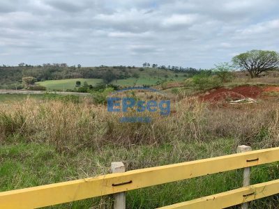 Terreno, 3 hectares - Foto 4