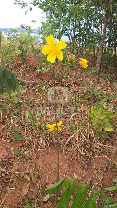 Chácara, 2 quartos - Foto 1