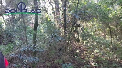 Terreno, 300 m² - Foto 2