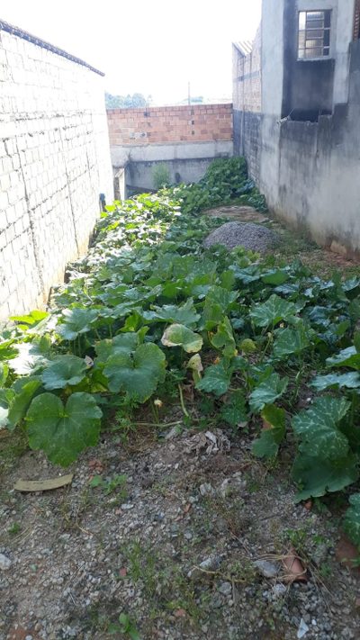 Terreno, 125 m² - Foto 4