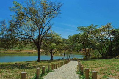 Terreno, 1000 m² - Foto 5