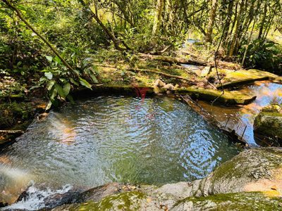 Terreno, 5 hectares - Foto 2