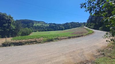 Terreno, 16 hectares - Foto 5