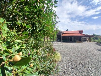 Chácara, 3 quartos, 1496 m² - Foto 1